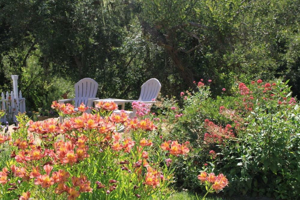 Olallieberry Inn Bed And Breakfast Cambria Zewnętrze zdjęcie